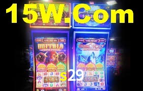 s29 login