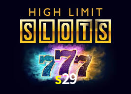 s29
